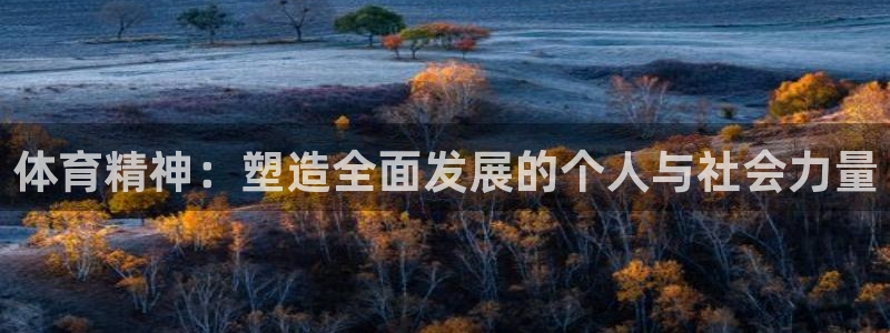 bbin视讯下