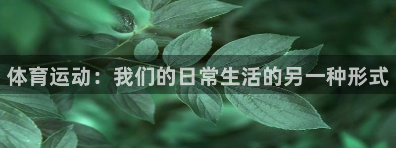 bbin视讯