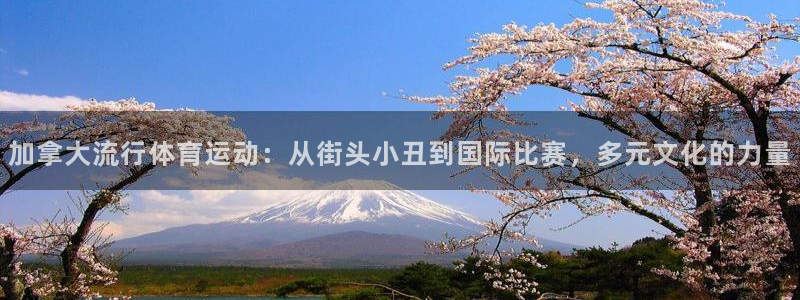 bbin视讯：加拿大流行体育运动：从街头小丑到国际比赛，多元文化的力量
