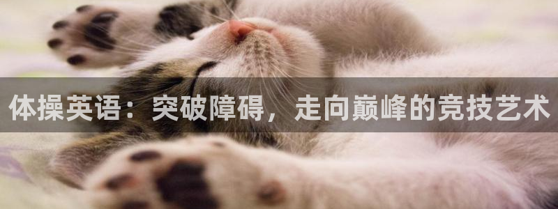 bbin视讯下：体操英语：突破障碍，走向巅峰的竞技艺术