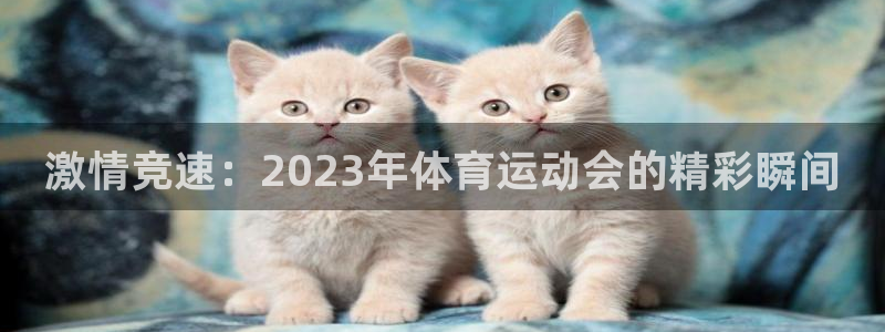 bbin视讯游戏官网：激情竞速：2023年体育运动会的精彩瞬间