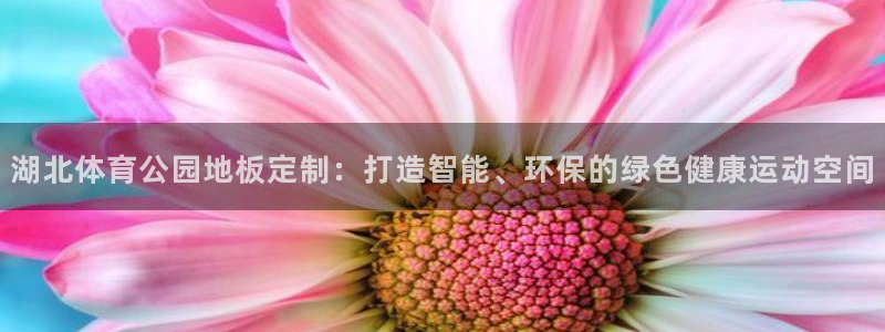 bbin视讯：湖北体育公园地板定制：打造智能、环保的绿色健康运动空间