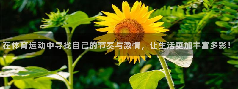 bbin视讯游戏官网：在体育运动中寻找自己的节奏与激情，让生活更加丰富多彩！