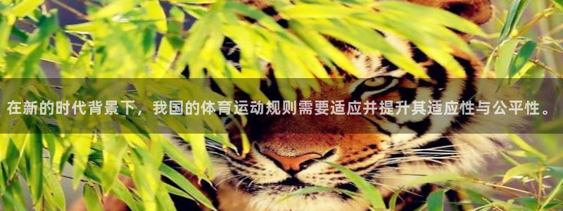 bbin视讯：在新的时代背景下，我国的体育运动规则需要适应并提升其适应性与公平性。