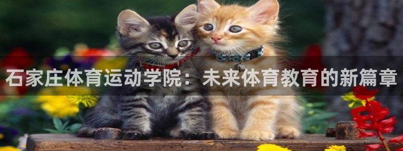bbin视讯下