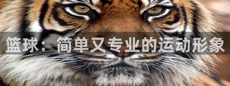 bbin视讯下：篮球：简单又专业的运动形象