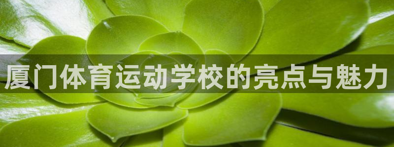 bbin视讯游戏平台：厦门体育运动学校的亮点与魅力